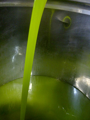 Fabrication huile d'olive - Domaine de l'Arbre Blanc