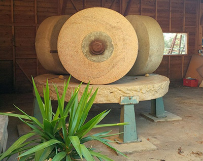 Vieux moulin à huile - Domaine de l'Arbre Blanc